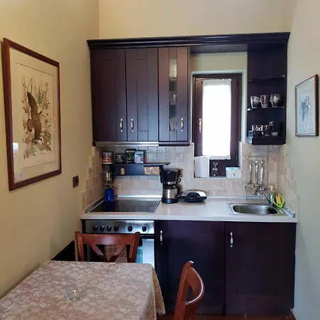 빌라 Pallas Casa *