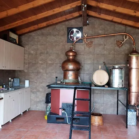 Vilă Pallas Casa Panagia (Trikala)