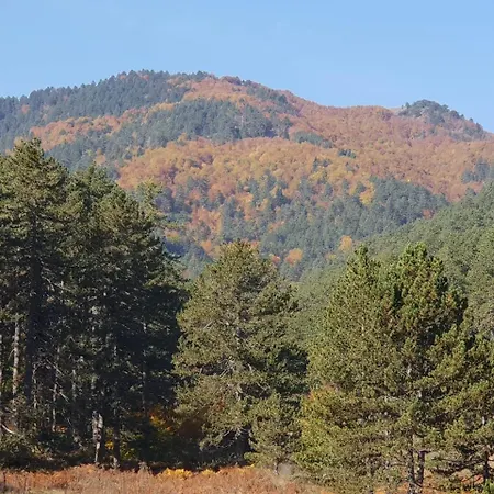 Pallas Casa Vilă Panagia (Trikala)