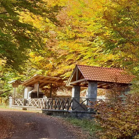 Vila Pallas Casa *