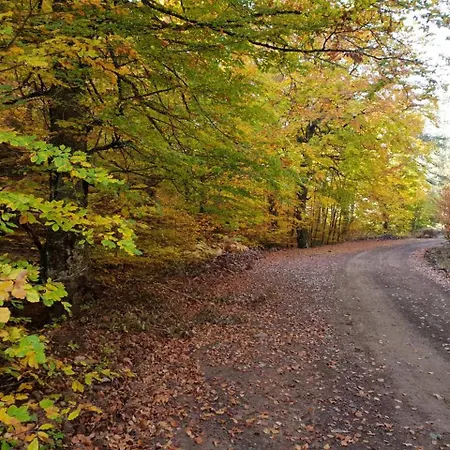 Pallas Casa Vilă Panagia (Trikala)