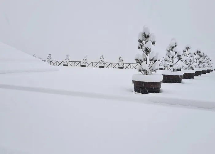 Villa Pallas Casa Panagia (Trikala)