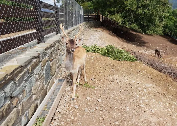 Villa Pallas Casa Panagia (Trikala)