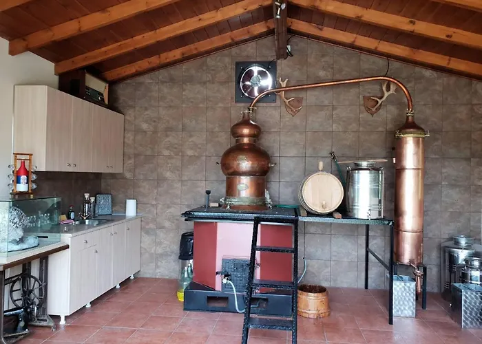 Villa Pallas Casa Panagia (Trikala)