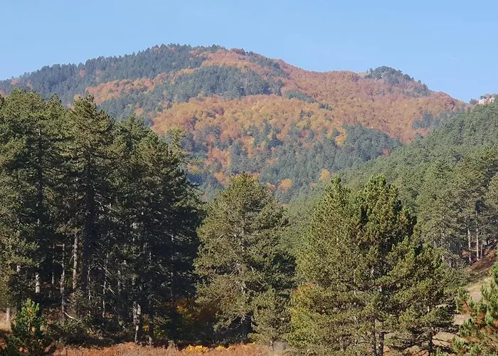 Pallas Casa Villa Panagia (Trikala)