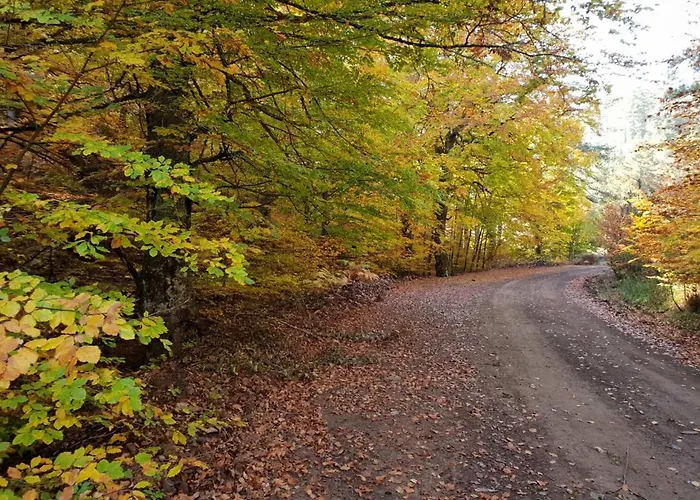 Pallas Casa Villa Panagia (Trikala)